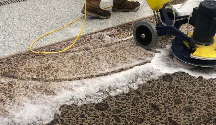 providing professional rug cleaning services