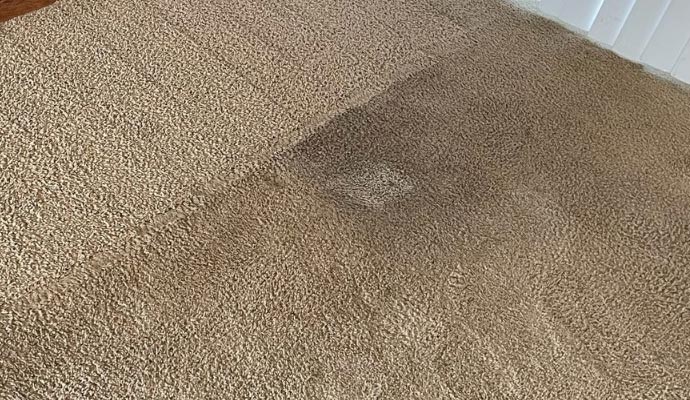 acid-based stain in the carpet