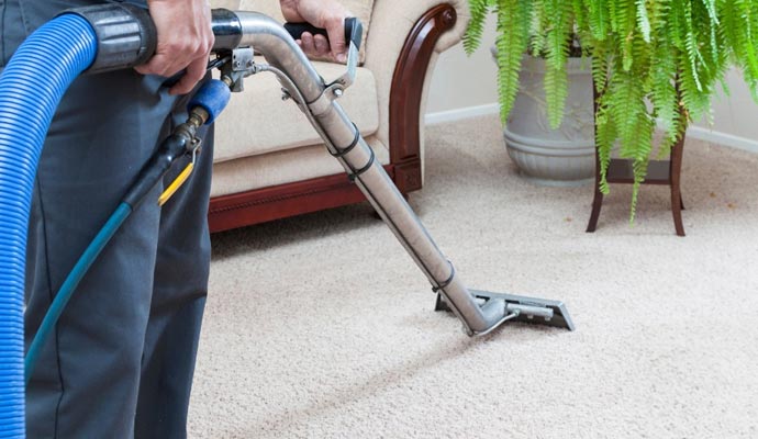 cleaning the carpet in the living room