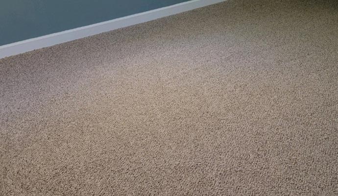 clean carpet on the floor 