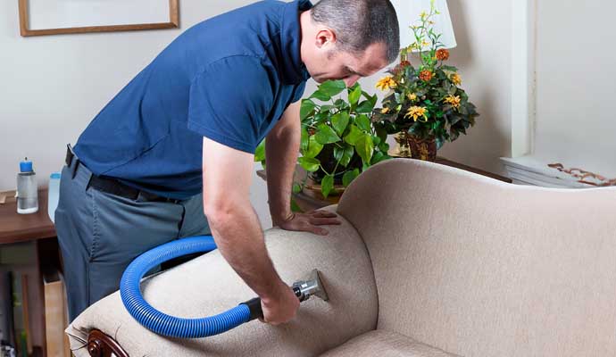 Person cleaning beige sofa with upholstery cleaner