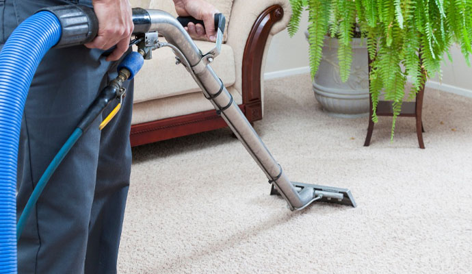 vacuuming a white carpet in a living room to eliminate pet odor.