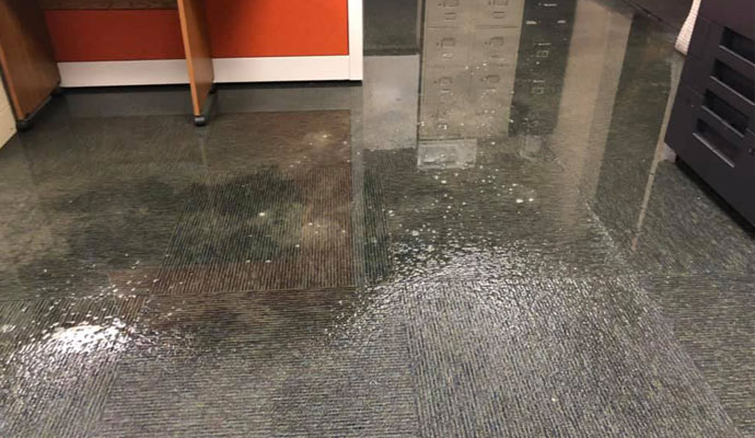 Water damaged carpet