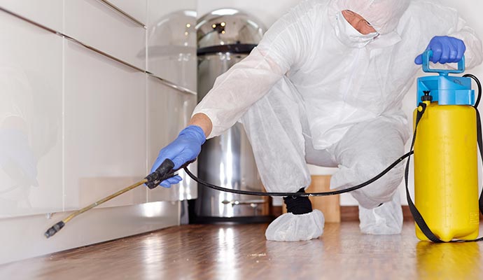 expert person professionally disinfecting home